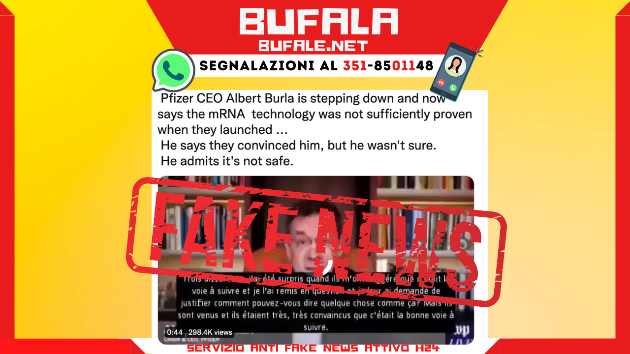 bufala sindaco di lonigo