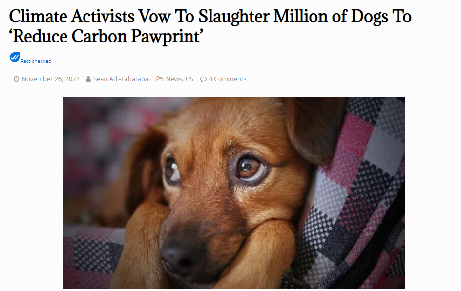 massacro di animali domestici