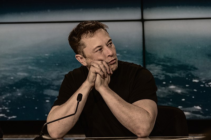 sondaggio di Elon Musk