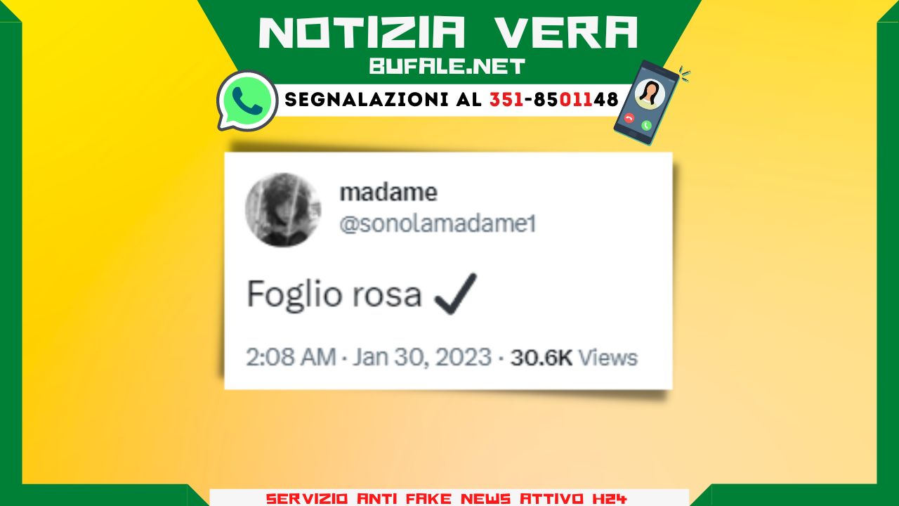 bufala sindaco di lonigo