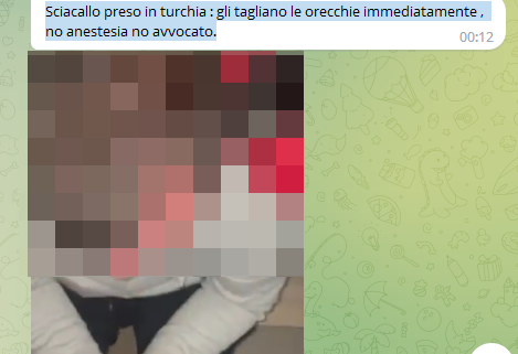 La bufala dello "sciacallo preso in Turchia" vi rende peggiori