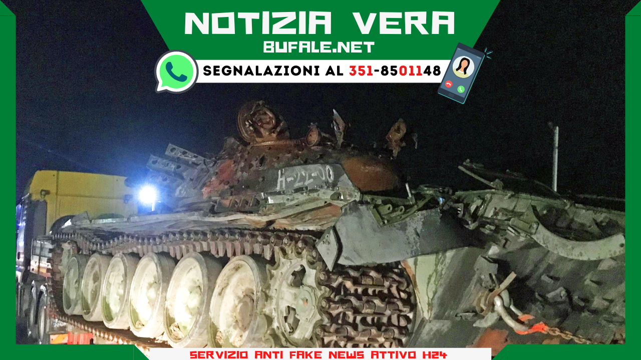 bufala sindaco di lonigo