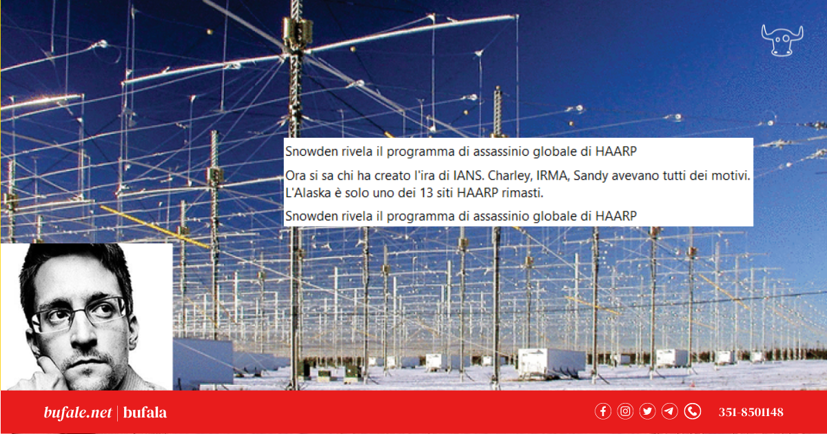 bufala sindaco di lonigo