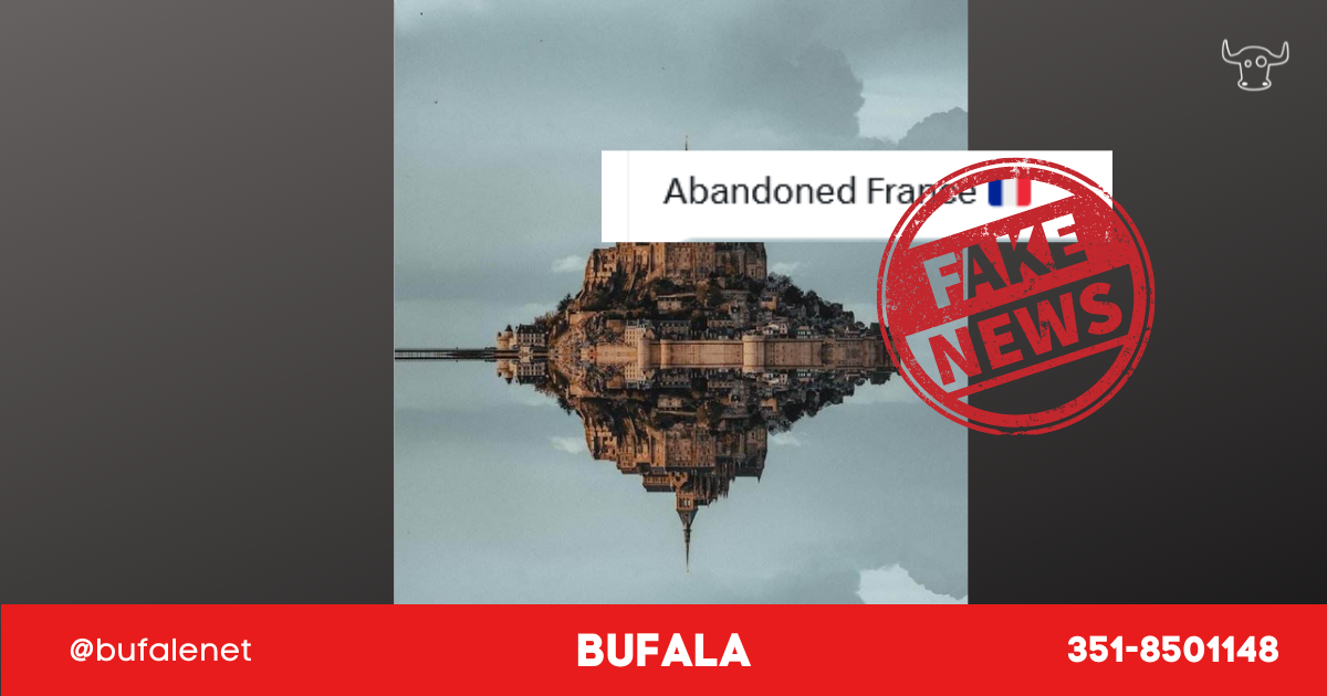 bufala sindaco di lonigo