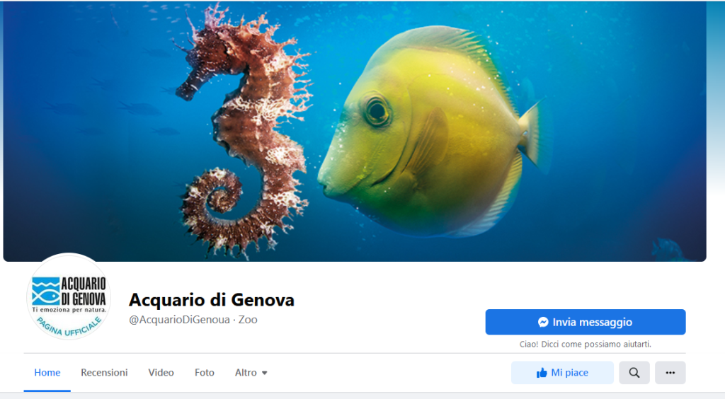 Notare la scritta @AcquariodiGenoua