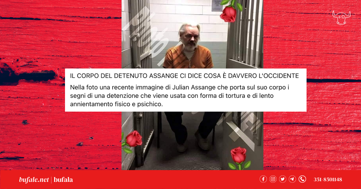 bufala sindaco di lonigo