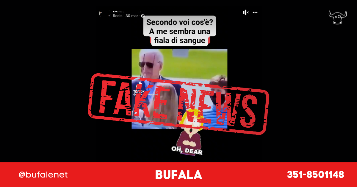 bufala sindaco di lonigo