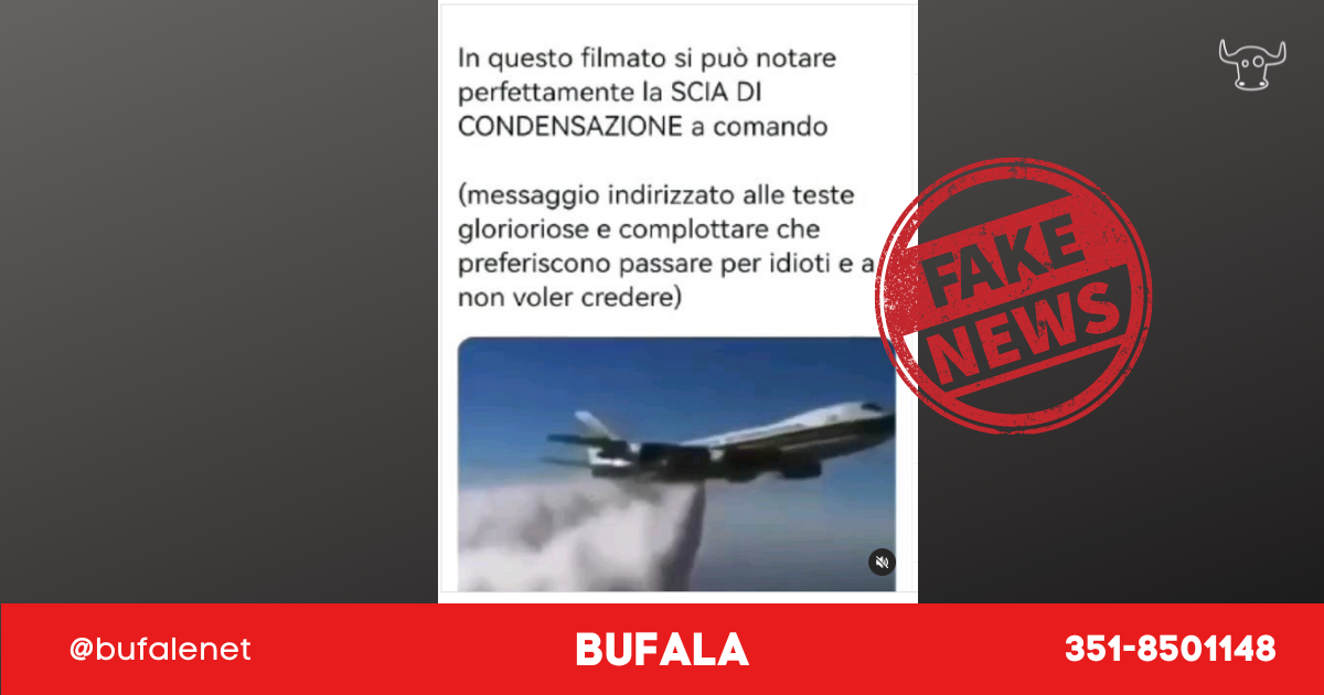 bufala sindaco di lonigo