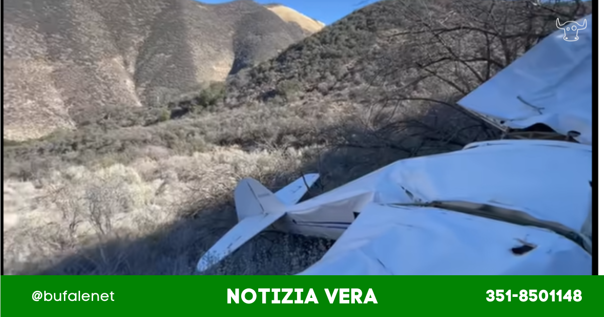 bufala sindaco di lonigo