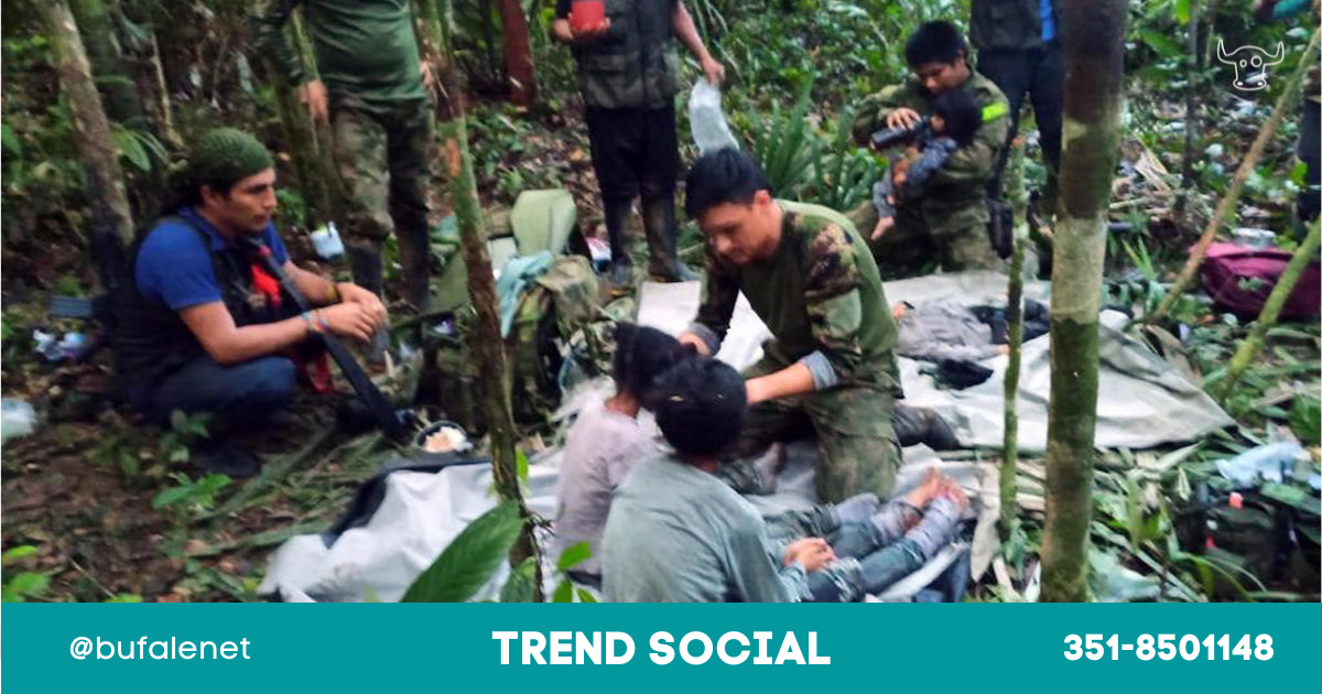 bufala sindaco di lonigo