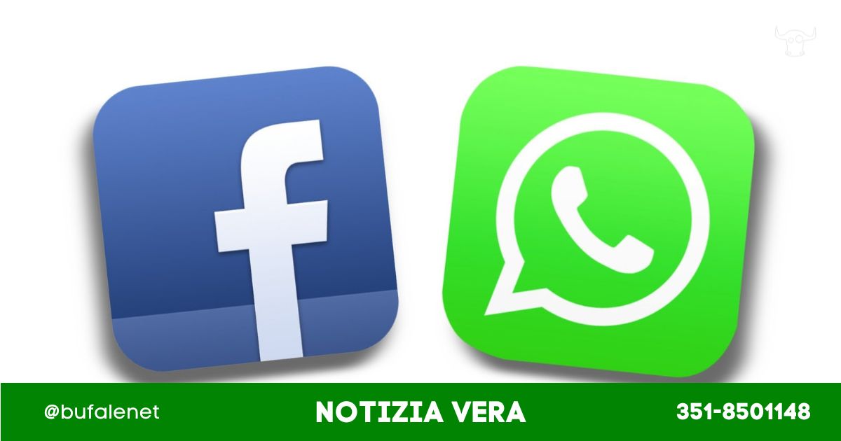 bufala sindaco di lonigo