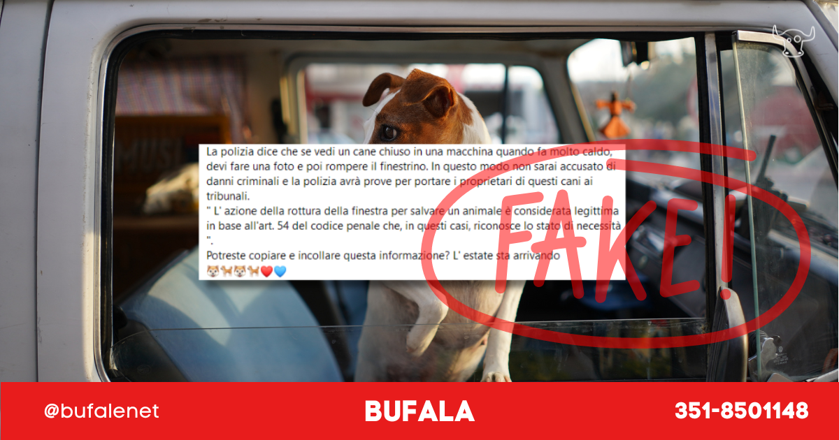 bufala sindaco di lonigo