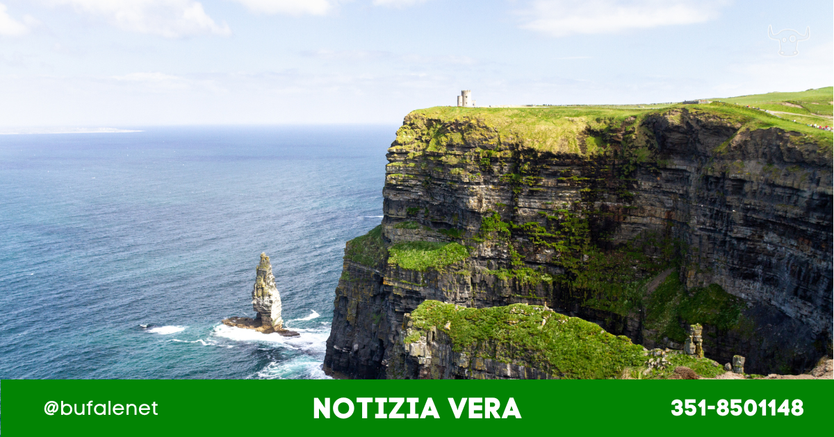 bufala sindaco di lonigo