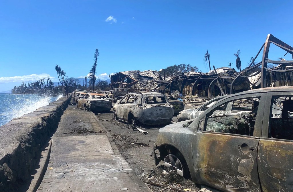 Il mondo è paese: il negazionismo climatico in giro per il globo - Incendio a Maui, Paula Ramon—AFP/Getty Images