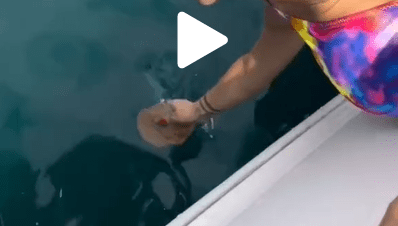 Perché condire la merenda con l'acqua di mare potrebbe costarvi caro