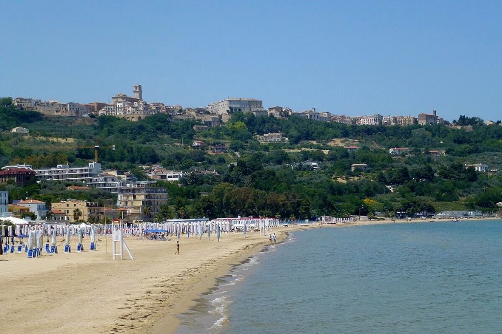 Aggredito da un canide a Vasto: cosa sappiamo al momento