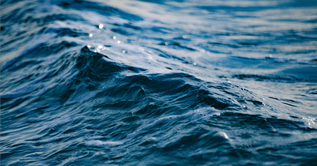 No, vi siete sbagliati: l'acqua di mare non disinfetta le ferite 