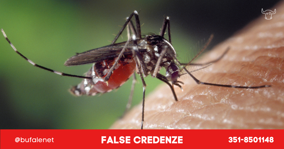"Perché le zanzare pungono solo me?" e altre domande dalla risposta sbagliata  --- (Fonte immagine: https://www.bufale.net/wp-content/uploads/sites/5/2023/08/zanzaracoer.png)
