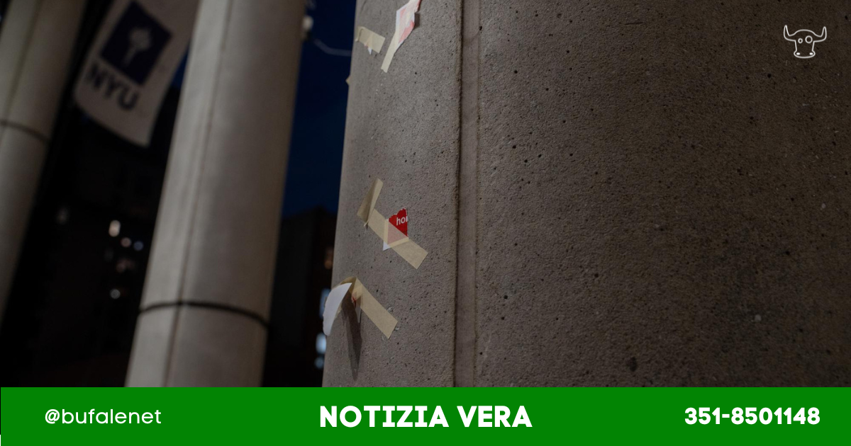 bufala sindaco di lonigo