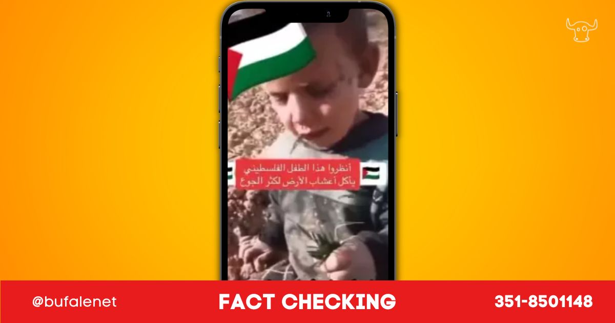 bufala sindaco di lonigo