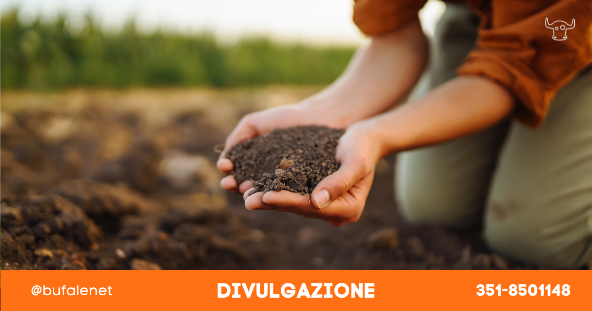 bufala sindaco di lonigo