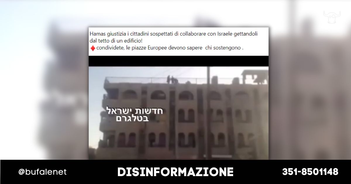 bufala sindaco di lonigo