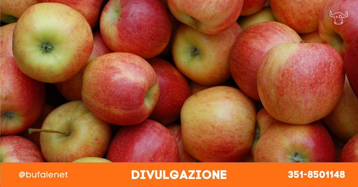 bufala sindaco di lonigo