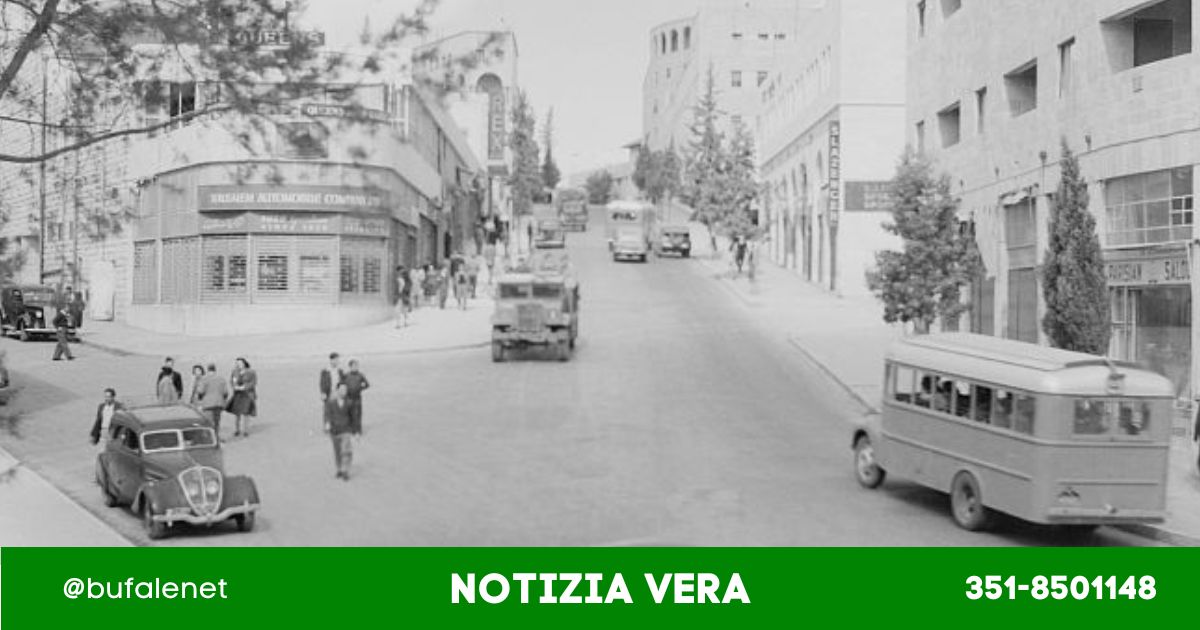 bufala sindaco di lonigo