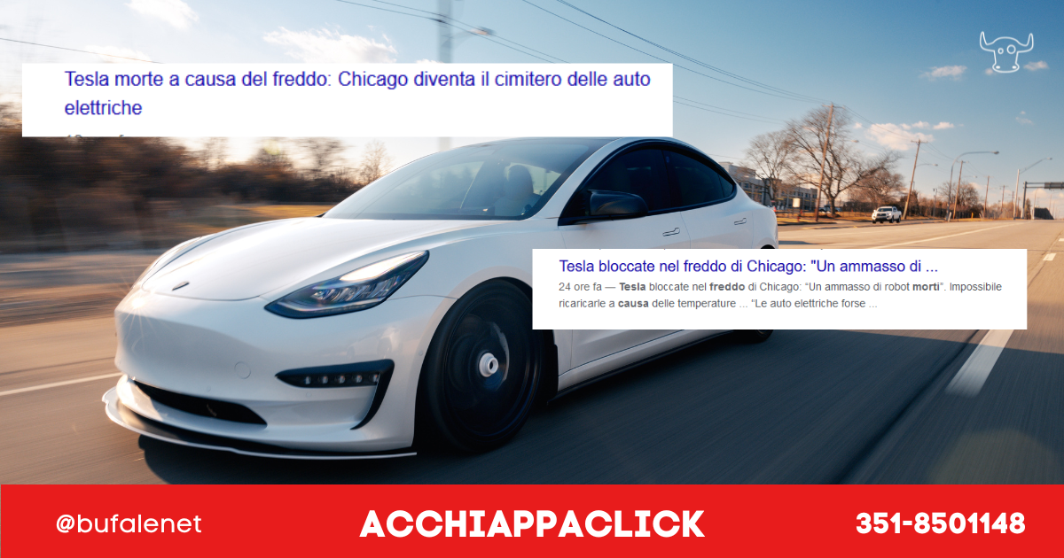 bufala sindaco di lonigo