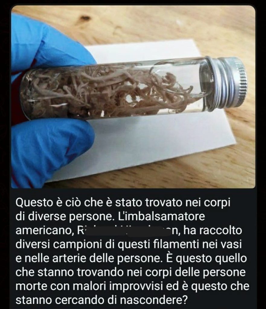 I "misteriosi filamenti nei vasi delle persone" non c'entrano coi vaccini (e non sono misteriosi)