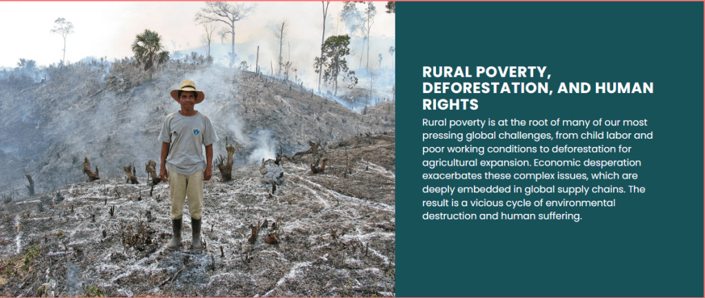 Si paga per l'ambiente, non per il grafene