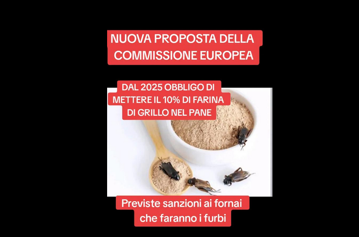 "Obbligo di farina di grillo nel pane, lo vuole l'Europa", ma era una bufala