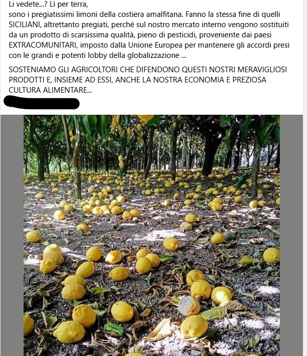 No, questi limoni della Costa Amalfitana non sono stati distrutti "per colpa degli extracomunitari"
