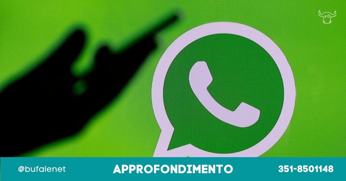 bufala sindaco di lonigo