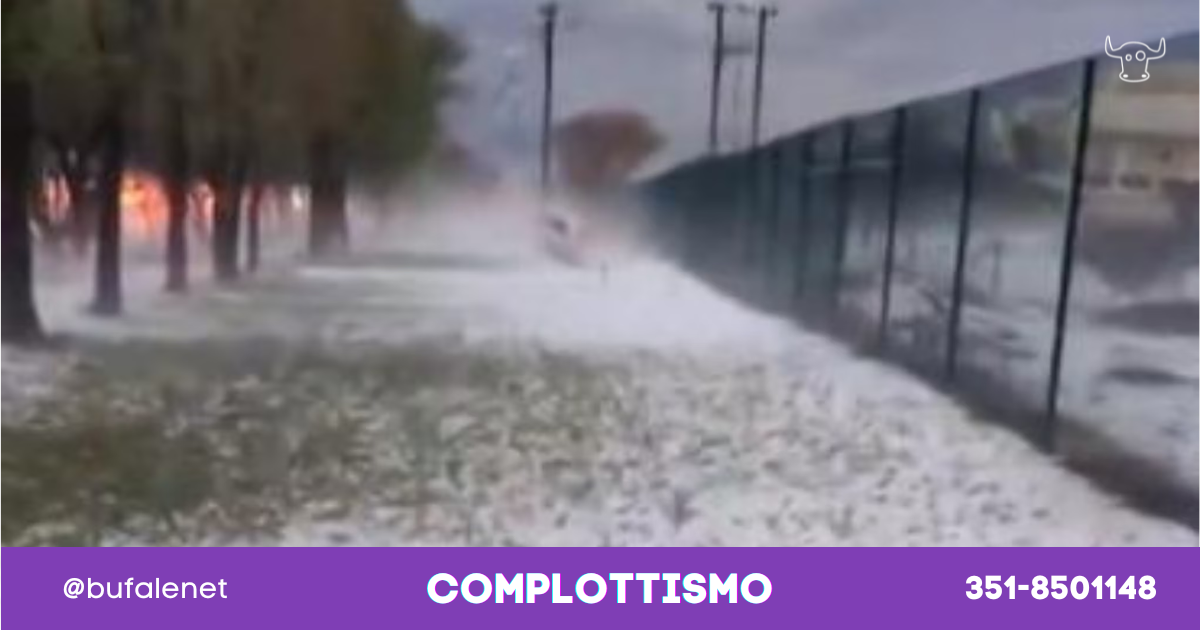 bufala sindaco di lonigo