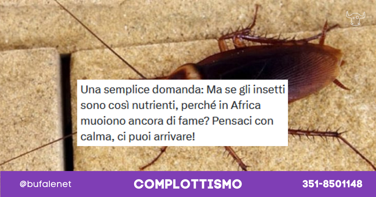 bufala sindaco di lonigo