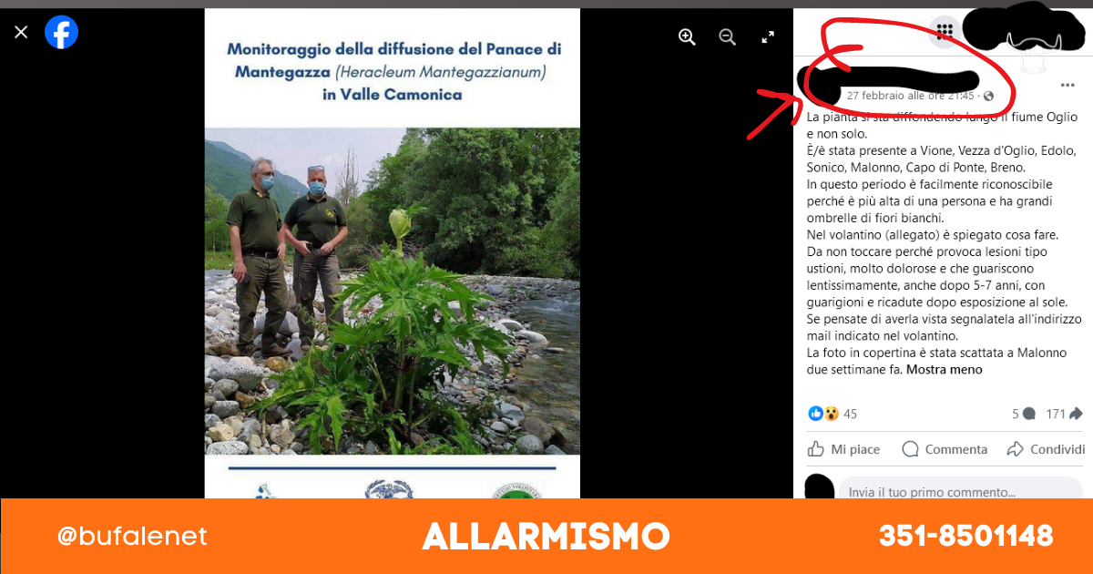 bufala sindaco di lonigo