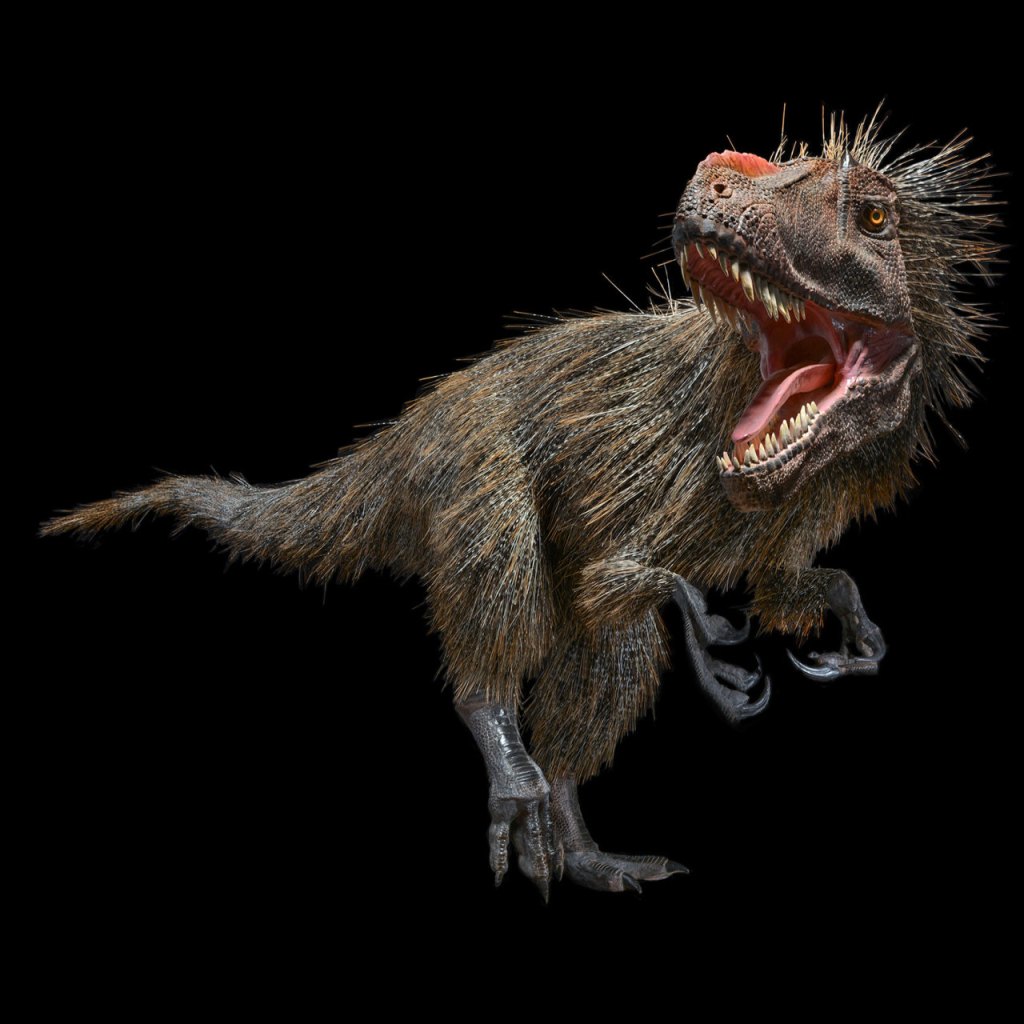 Sì, probabilmente i dinosauri avevano le piume (ma non tutti)