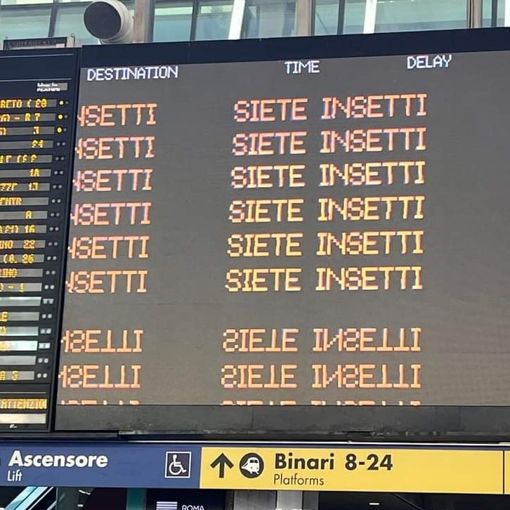 "Siete insetti" compare alla stazione di Roma Termini, ma era uno spot virale