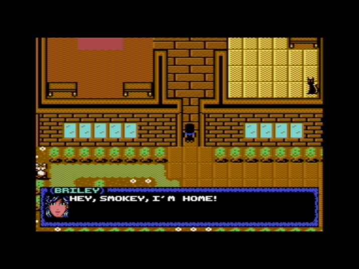 Un'avventura inizia, con un gattino