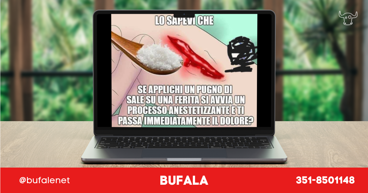 bufala sindaco di lonigo