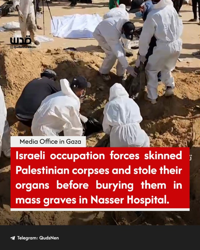 Il mito degli "ebrei che rubano gli organi ai palestinesi" e la "maledizione del sangue"
