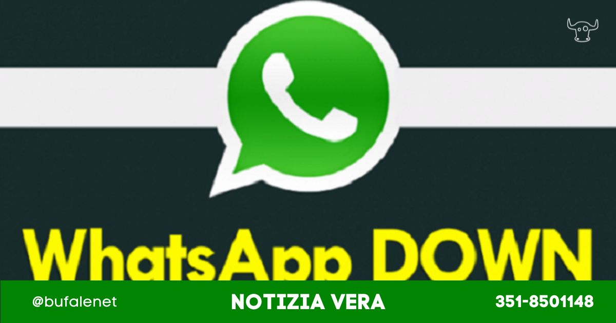 bufala sindaco di lonigo