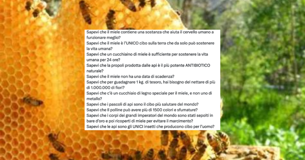 "Lo sapevi che il miele...": attenti alla disinformazione sui supercibi