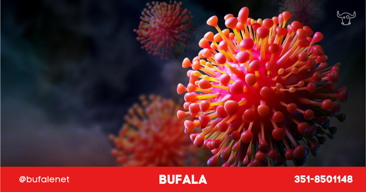 bufala sindaco di lonigo