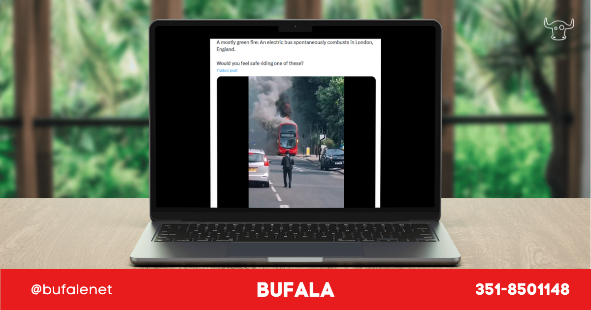 bufala sindaco di lonigo