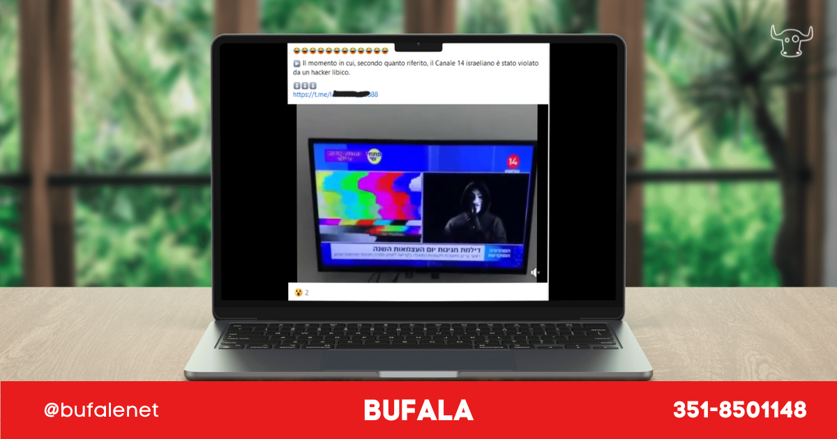 bufala sindaco di lonigo