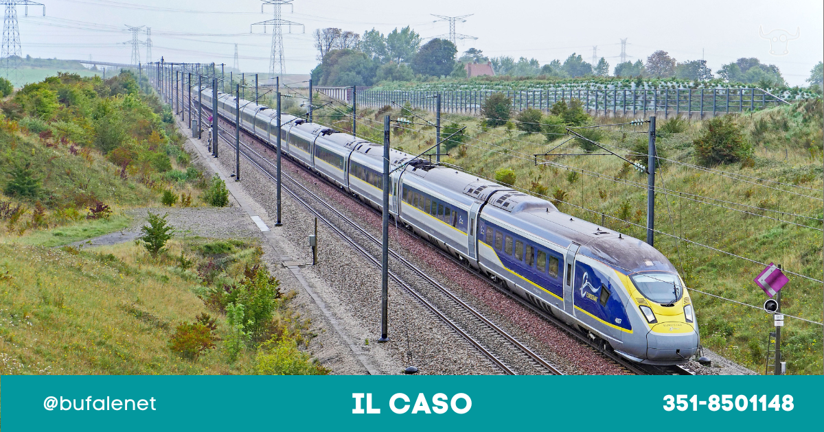 bufala sindaco di lonigo