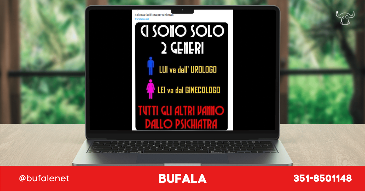 bufala sindaco di lonigo