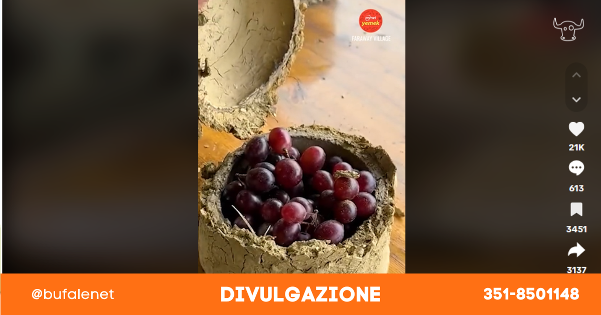 bufala sindaco di lonigo